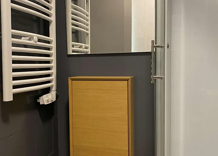 Apartmán T2 Au Coeur Du Village Avec Garage, Balcon Ensoleille Et Wifi A Balaruc-les-bains. - Fr-1-553-183